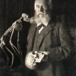 Ernst Haeckel – Ecología y Corología