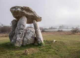 Semiótica y biomimesis. La escucha de la naturaleza